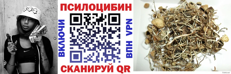 Галлюциногенные грибы Cubensis  Белово 